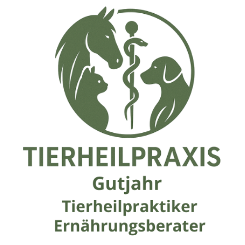 Dennis Gutjahr Logo