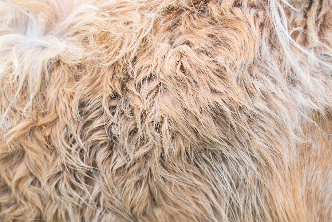 white and brown fur textile