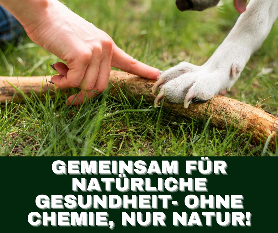 Allergien Beratung - Ernährungsberatung bei Futtermittelallergien